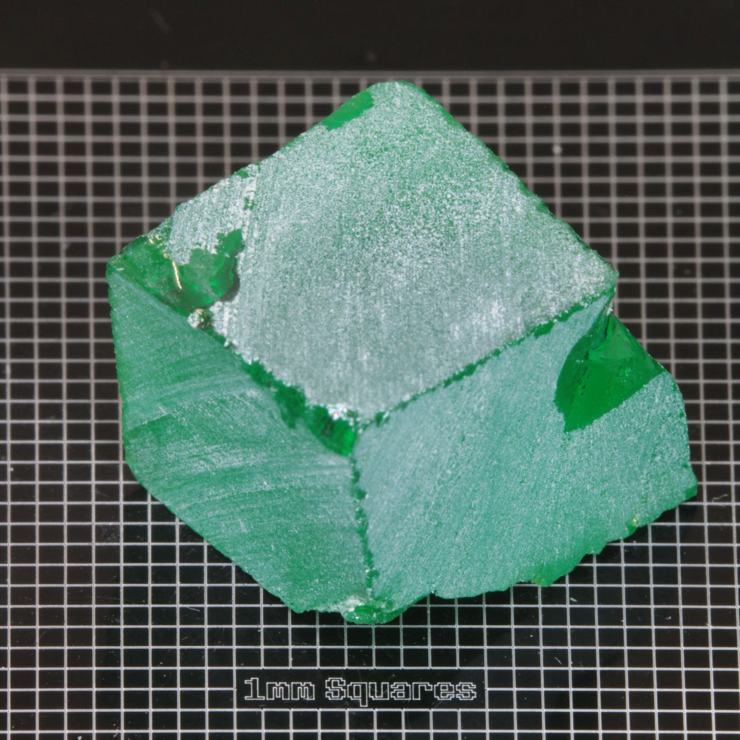 rough CTH:YAG Rough gemstone sized for USFG single stone competition 2026