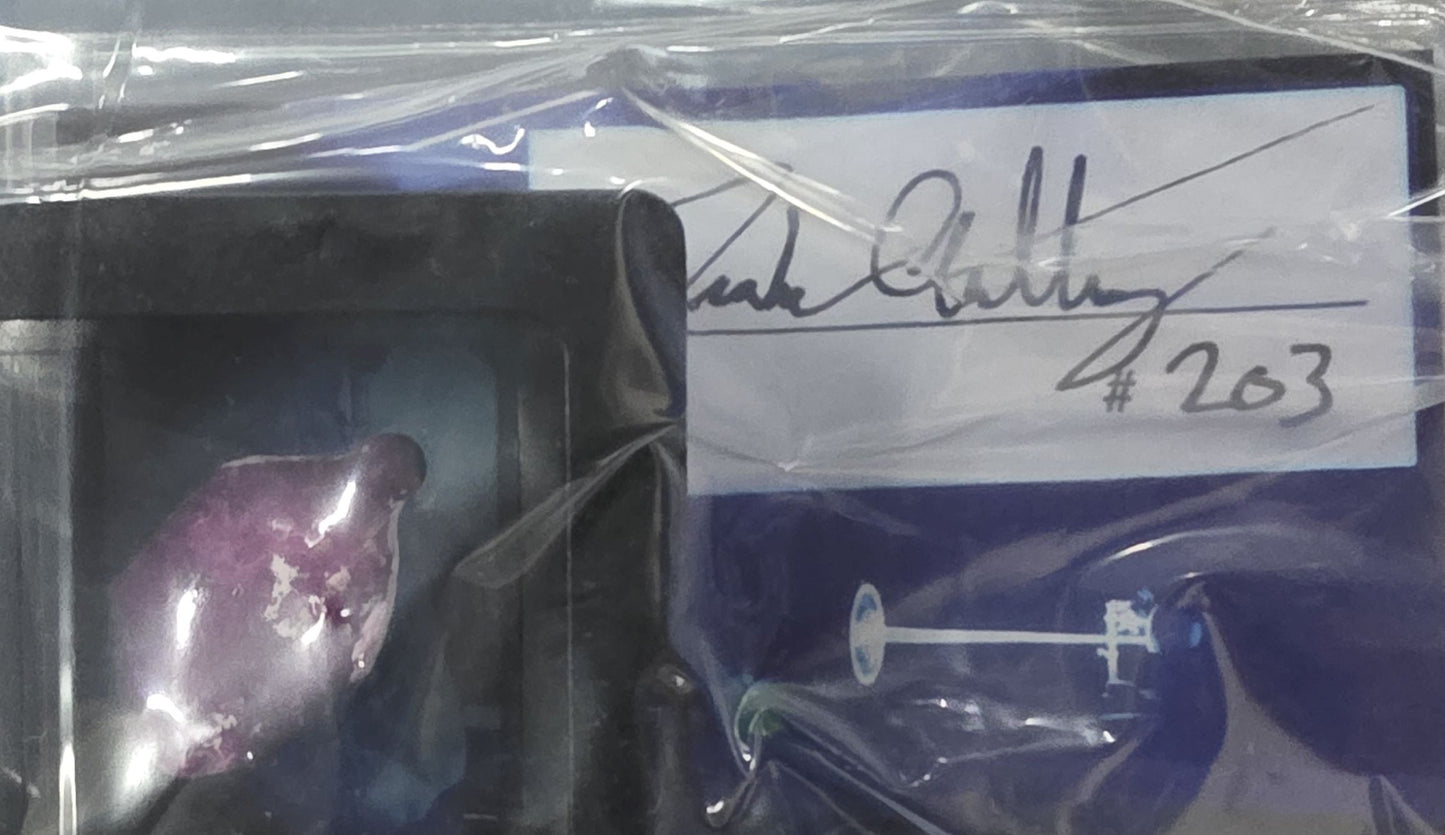 StyroPyro Laser Rubies, Signed, Numbered Commemorative Rubies Grown by Laser!