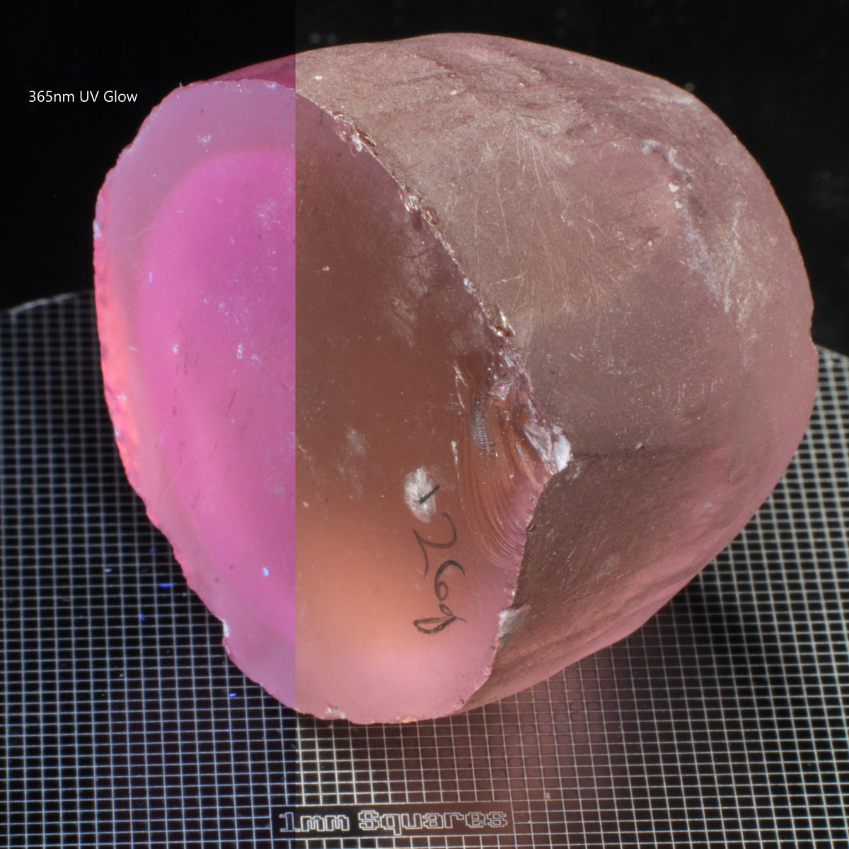 extra large Peach Nd/Ce YAG dice rough