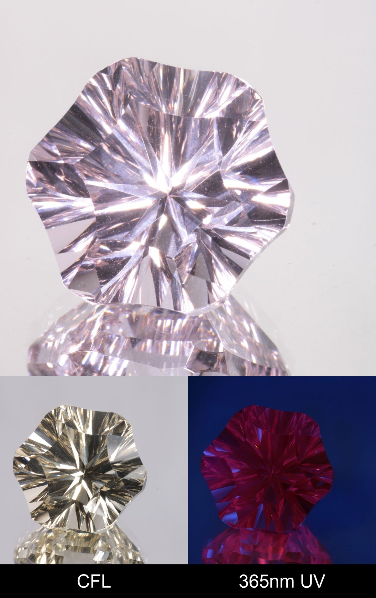 Giant Fantasy Cut Laser Garnets, Ce/Nd and Nd/Ce YAG