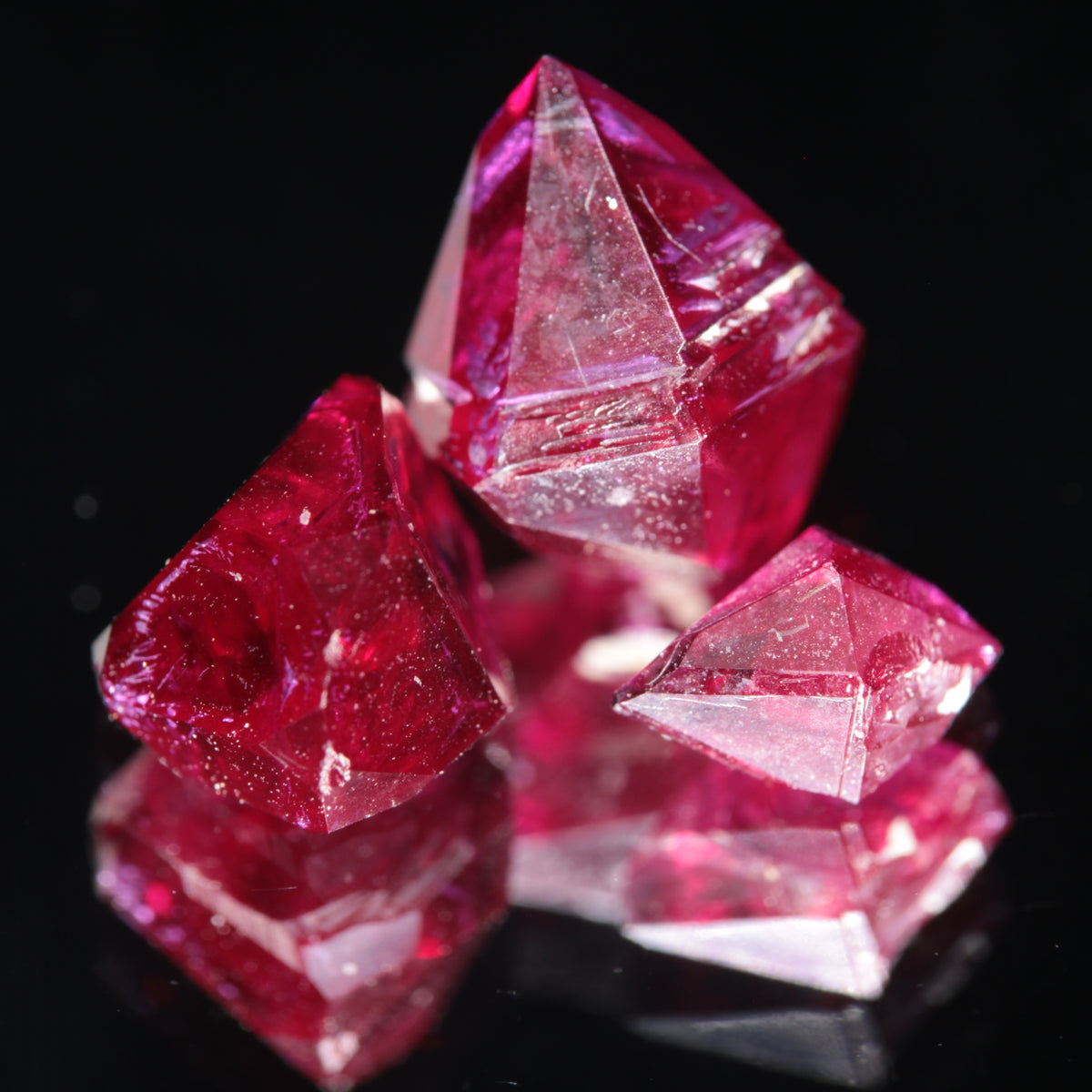 Three ruby crystals grown by Gems of Science using the flux method, arranged on a glossy black reflective surface, with sharp edges and translucent qualities
