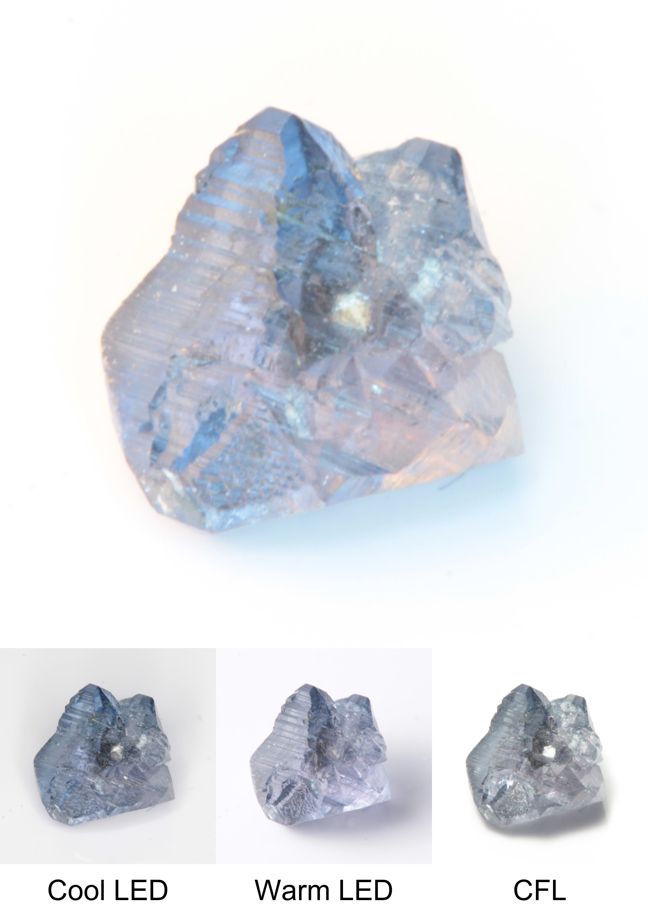 Synthetic Flux Playbutton Sapphire Gemstone Grown by Gems of Science on a white background showing color shift under different lighting