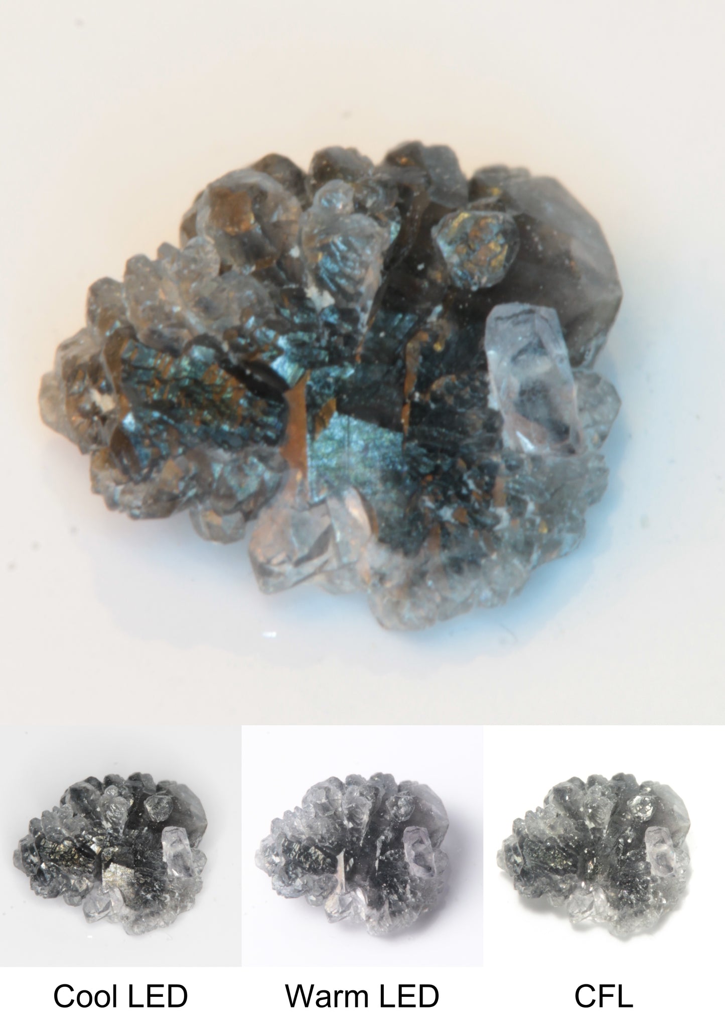 Synthetic Flux Playbutton Sapphire Cluster Gemstone Grown by Gems of Science on a white background showing color shift under different lighting