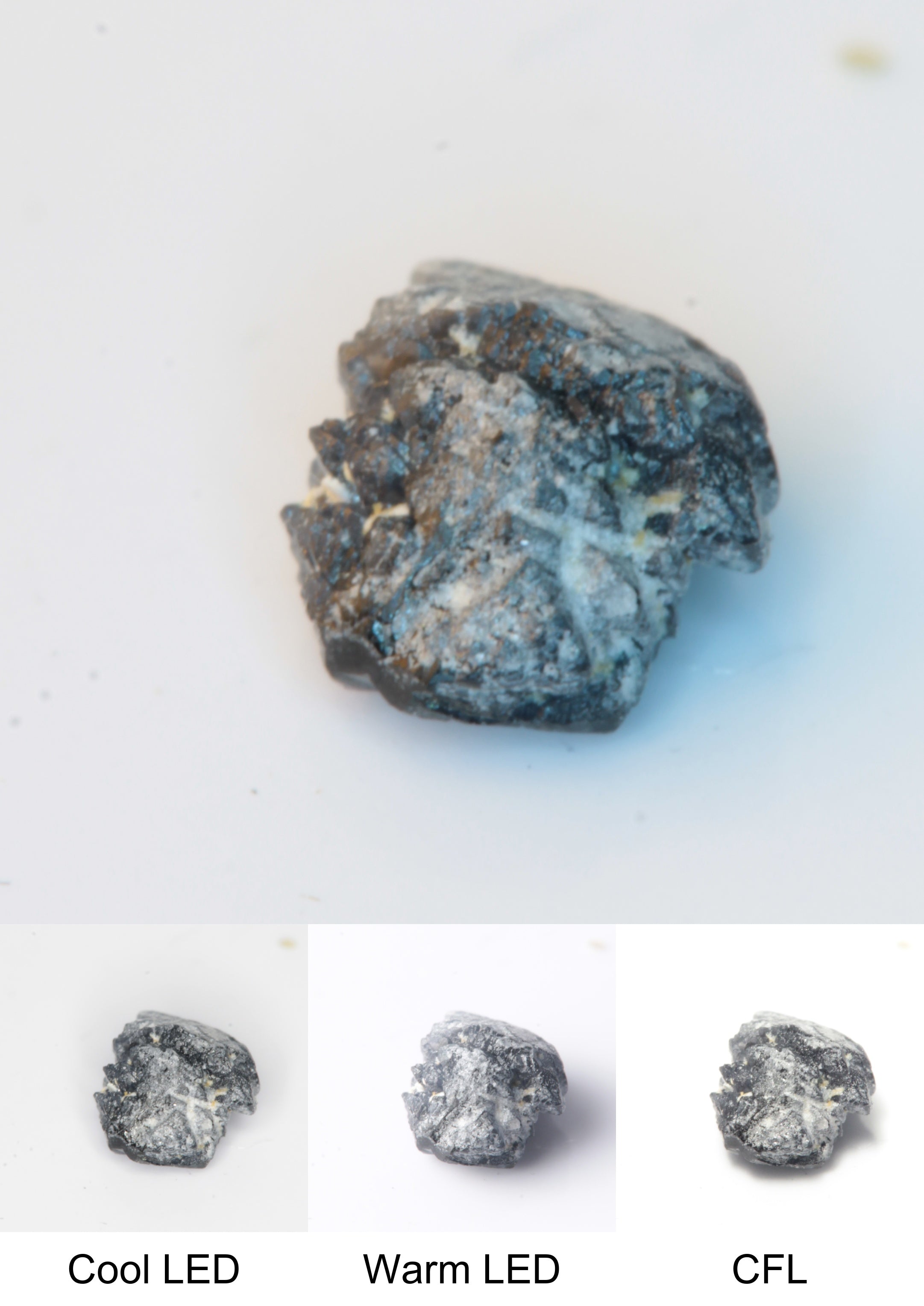 Synthetic Flux Playbutton Sapphire Gemstone Grown by Gems of Science on a white background showing color shift under different lighting