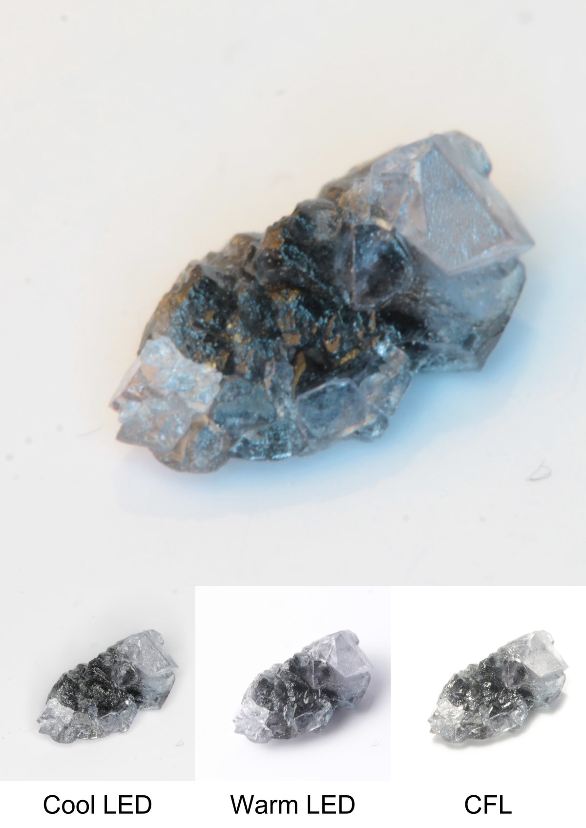Synthetic Thin Flux Playbutton Sapphire Gemstone Grown by Gems of Science on a white background showing color shift under different lighting