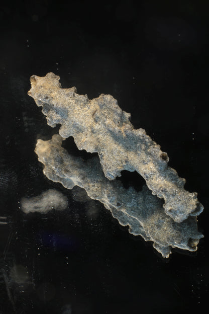 Fulgurite Specimens, Fossil Lightning Glass