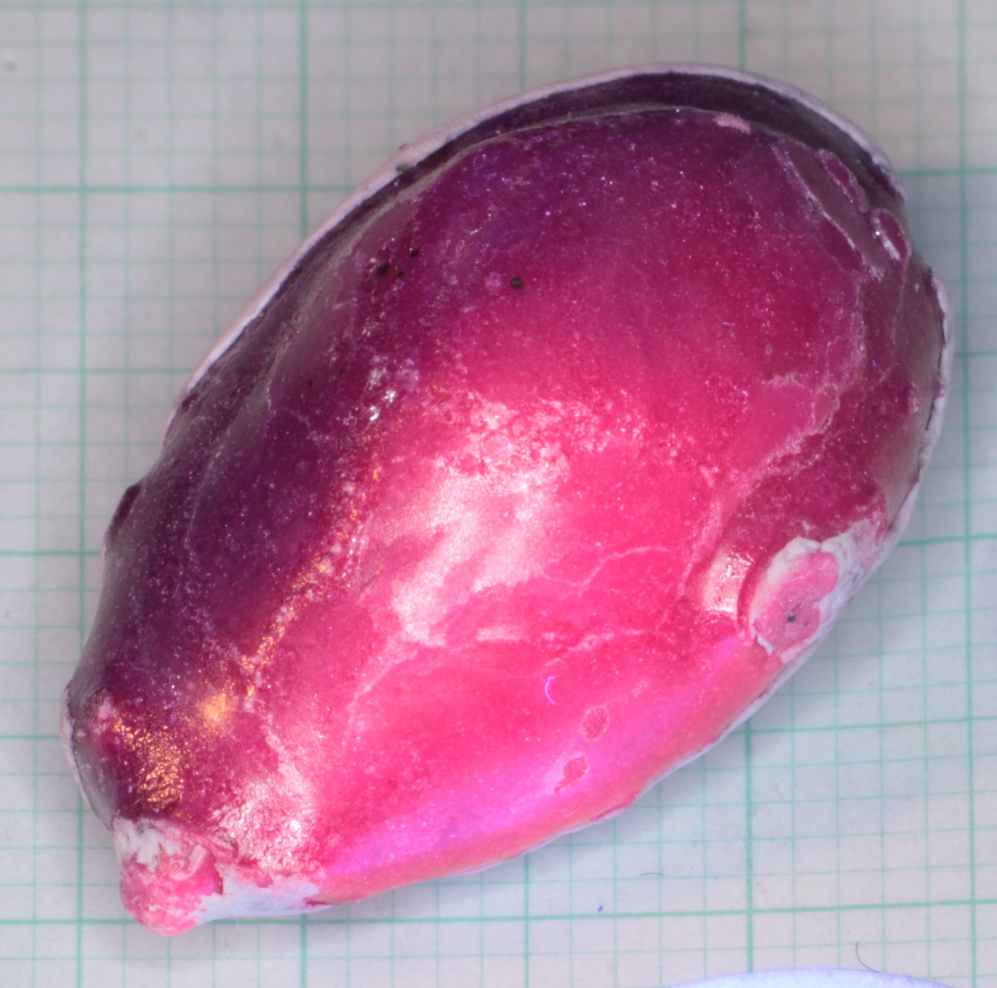 StyroPyro Laser Rubies, Signed, Numbered Commemorative Rubies Grown by Laser!