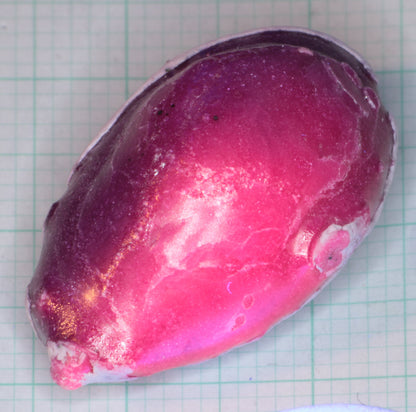 StyroPyro Laser Rubies, Signed, Numbered Commemorative Rubies Grown by Laser!