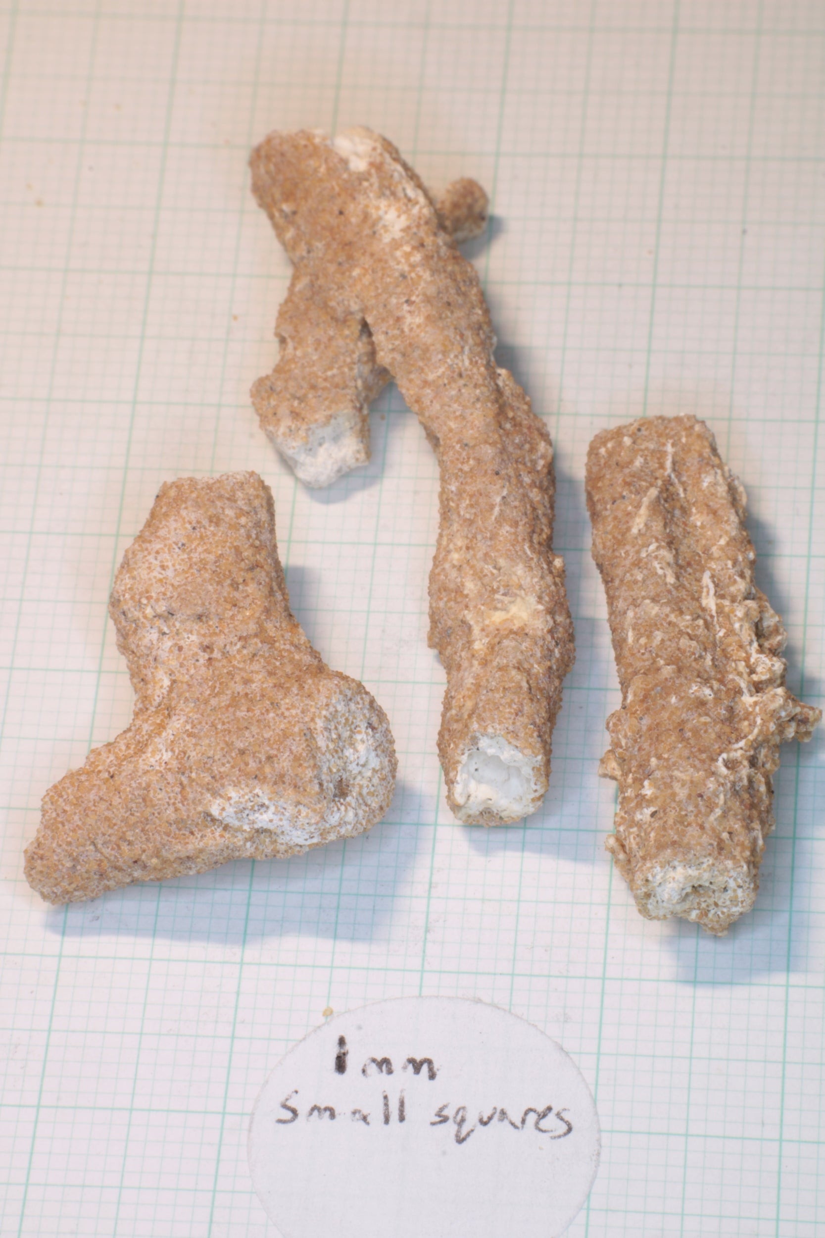 Fulgurite Specimens, Fossil Lightning Glass