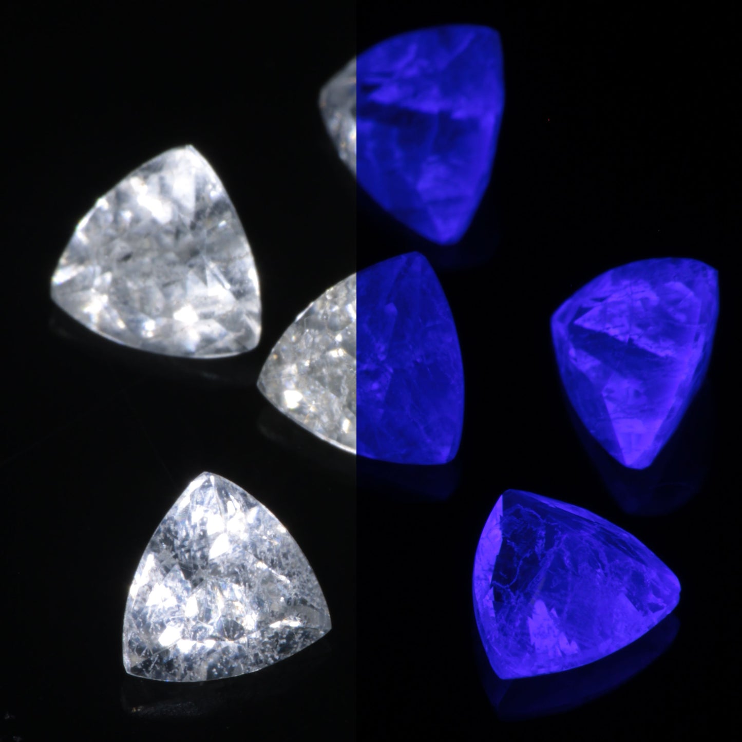 Faceted LYSO Bubbly Trillion gemstone