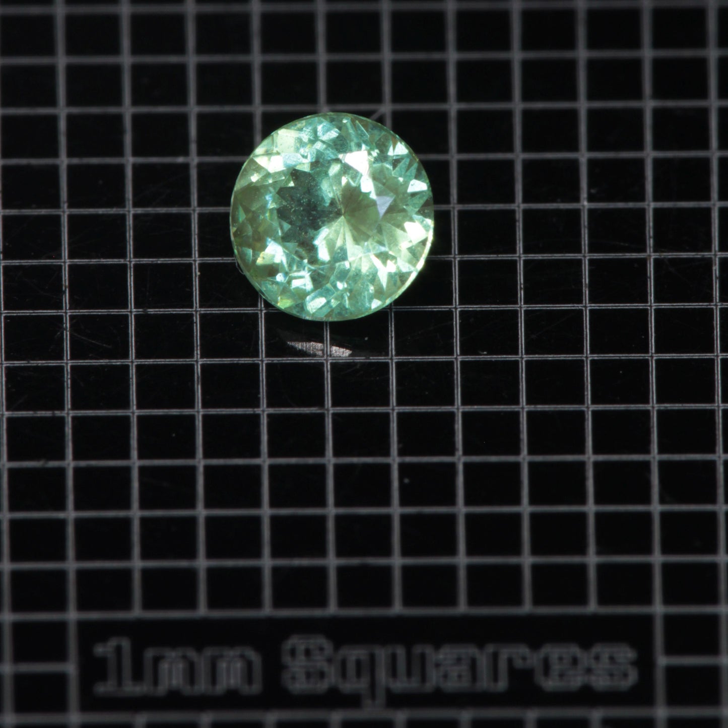 Faceted Round Mint Garnet YAG:Cr3+ Gem