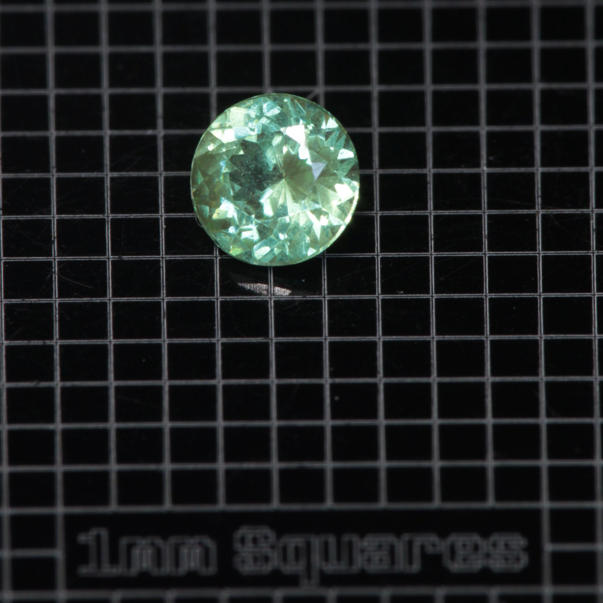 Faceted Round Mint Garnet YAG:Cr3+ Gem