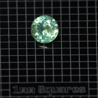 Faceted Round Mint Garnet YAG:Cr3+ Gem