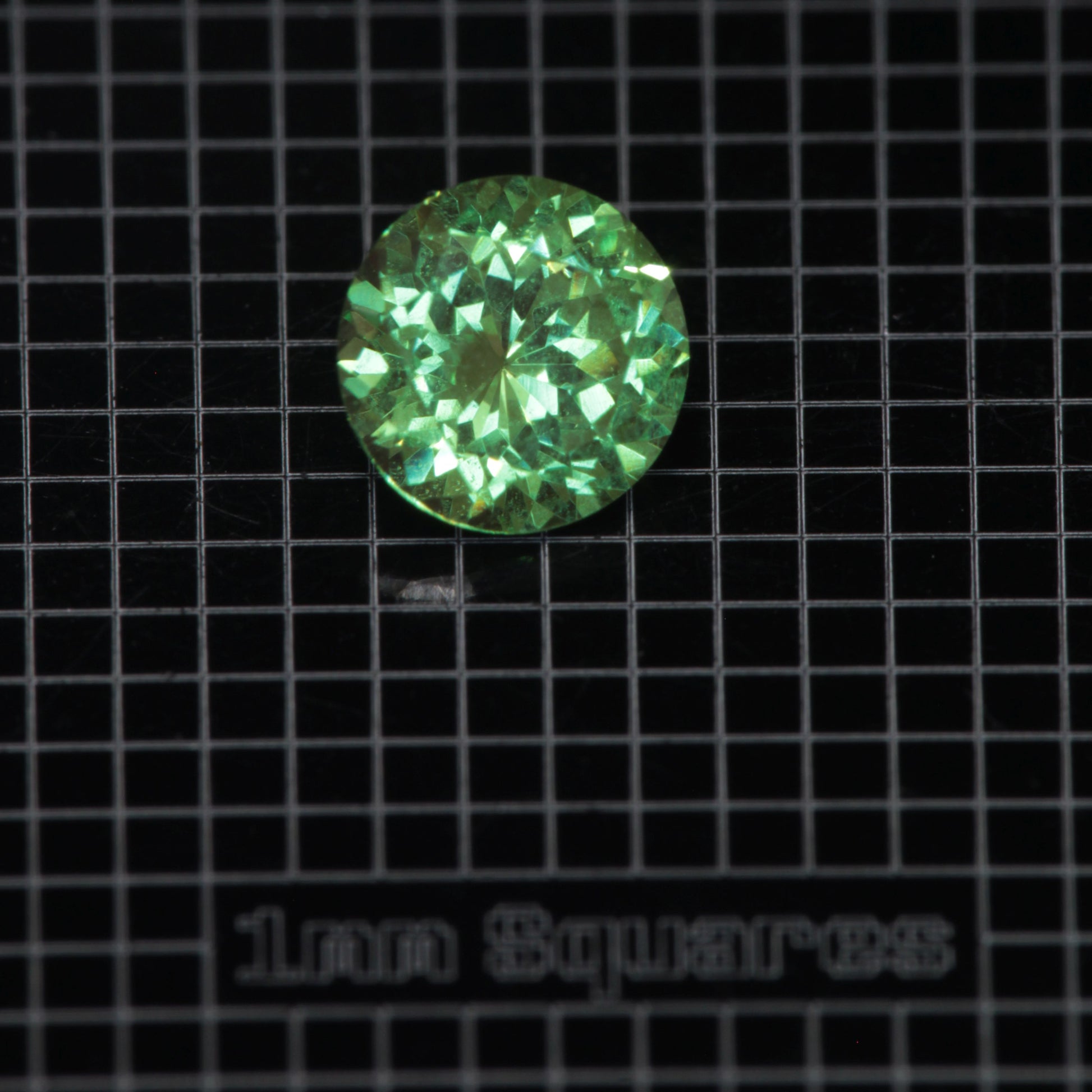 Faceted Round Mint Garnet YAG:Cr3+ Gem