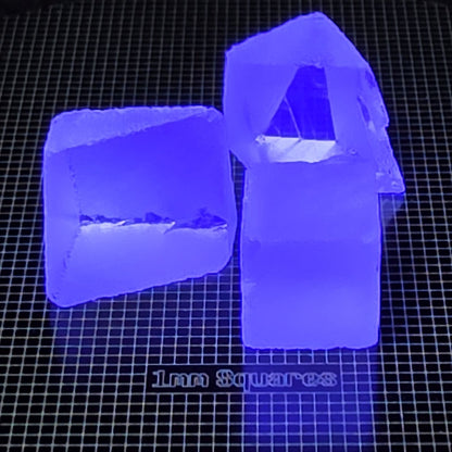 Fluorite Gem Rough Glowing Blue Under UV Light