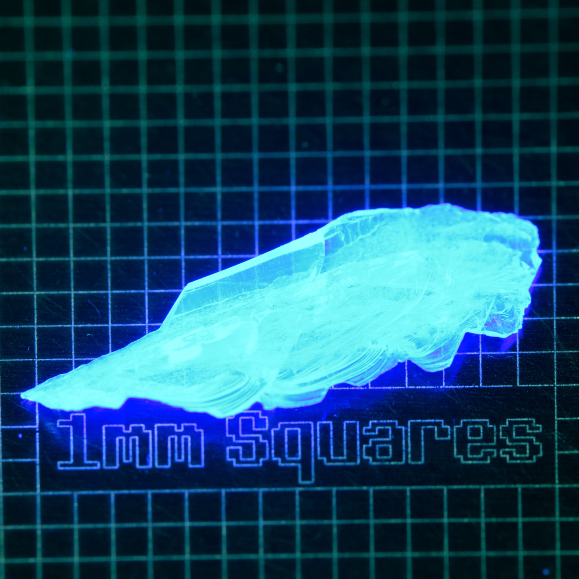 Blue Glowing Europium Fluorite Thin Shard Gem Rough, Fluorescing under 365nm UV