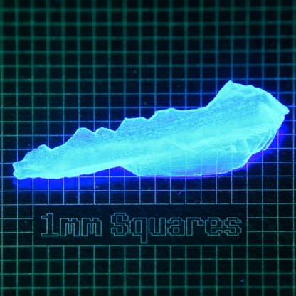 Blue Glowing Europium Fluorite Thin Shard Gem Rough, Fluorescing under 365nm UV