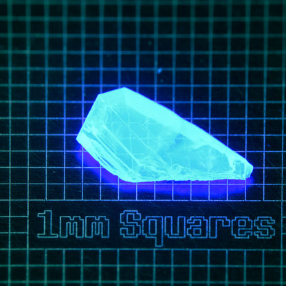 Blue Glowing Europium Fluorite Shard Gem Rough, Fluorescing under 365nm UV
