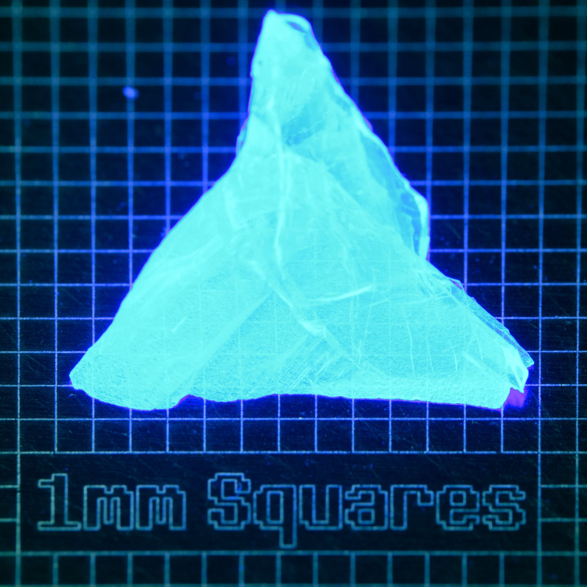 Blue Glowing Europium Fluorite Triangular Shard Gem Rough, Fluorescing under 365nm UV
