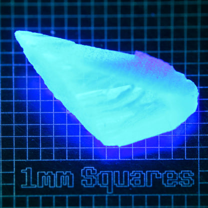 Blue Glowing Europium Fluorite Thin Tablet Gem Rough, Fluorescing under 365nm UV