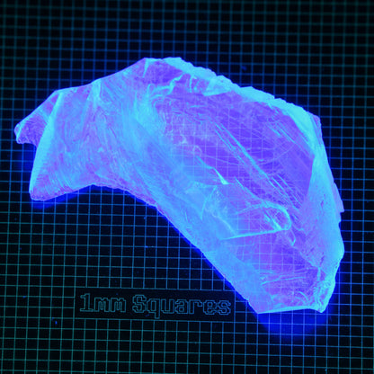 Blue Glowing Europium Fluorite Tablet Gem Rough, Fluorescing under 365nm UV