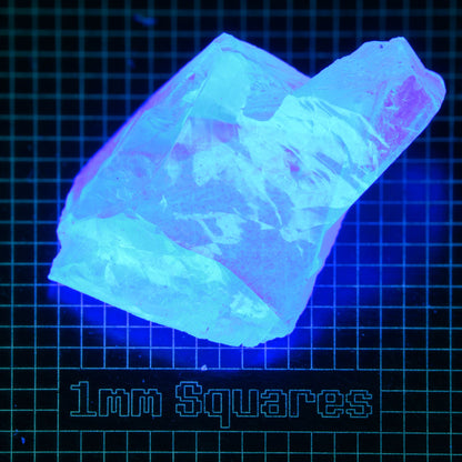 Blue Glowing Europium Fluorite Chunk Gem Rough, Fluorescing under 365nm UV