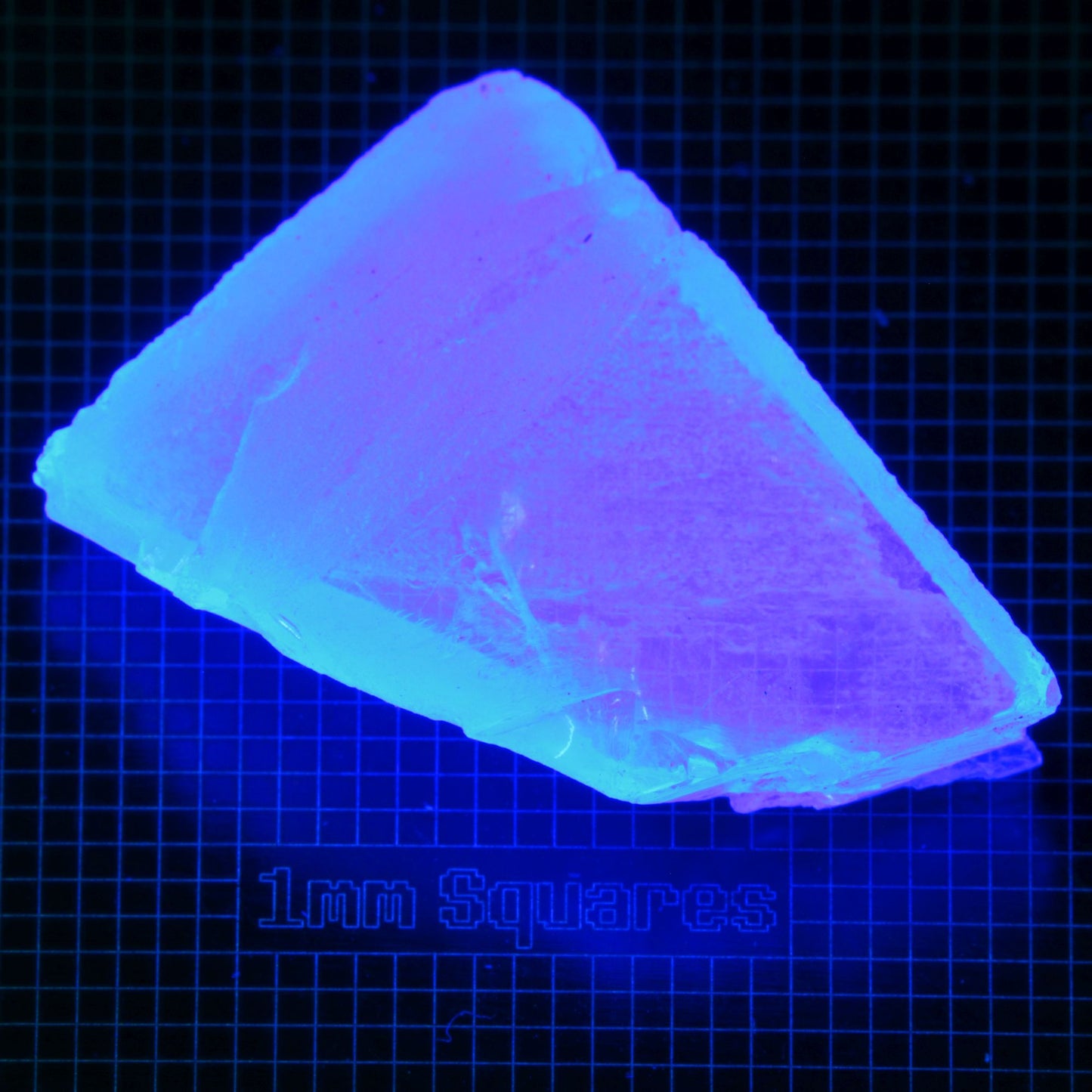 Blue Glowing Europium Fluorite Tablet Gem Rough, Fluorescing under 365nm UV