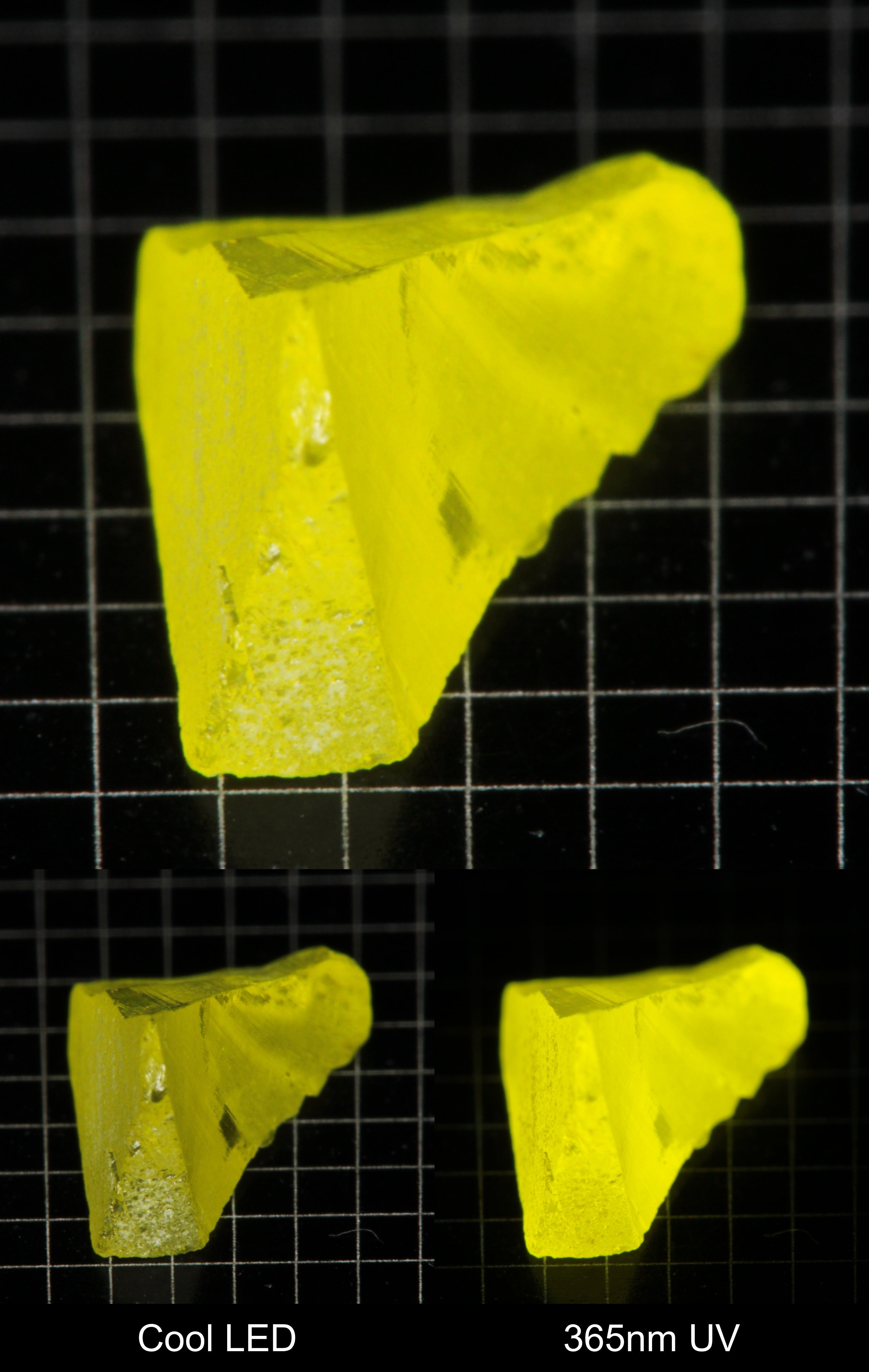 Bright Yellow GAGG Gem Rough Crumb