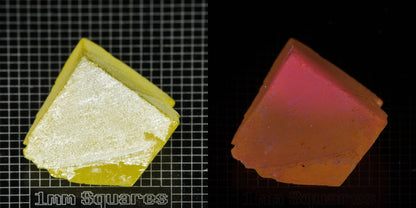 Ce/Nd YAG Corner (Salmon Glow) rough for gem cutting