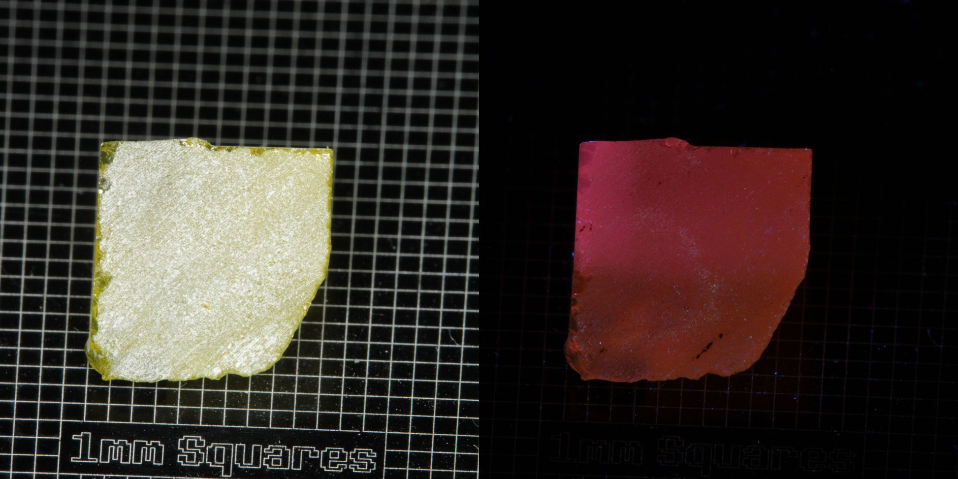Ce/Nd YAG Quarter Edge (Salmon Glow) rough for gem cutting