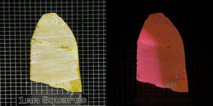 Ce/Nd YAG Wedge (Salmon Glow) rough for gem cutting