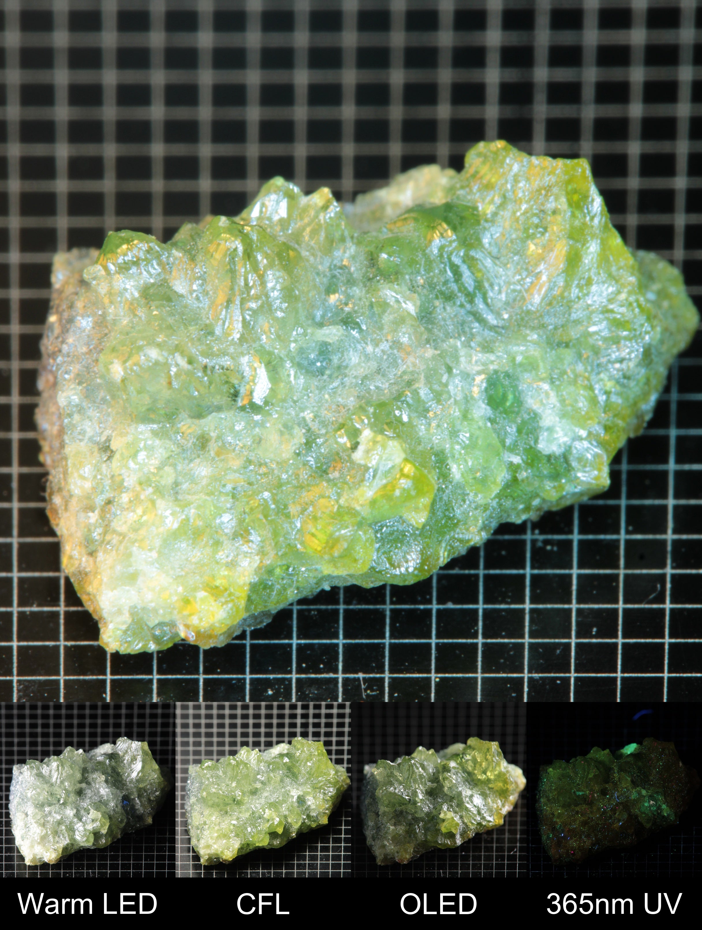 Smokestack Zincite Multicolor Cluster Gem Specimen