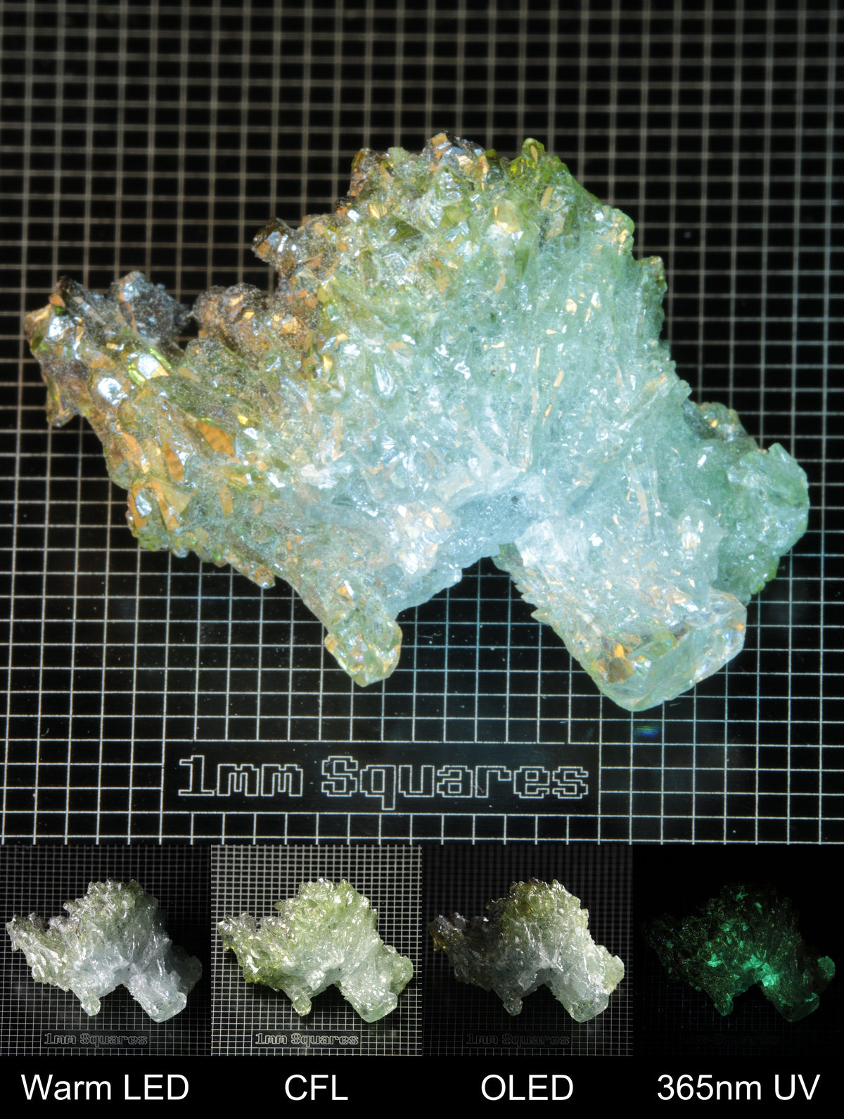 Smokestack Zincite Multicolor Cluster Gem Specimen