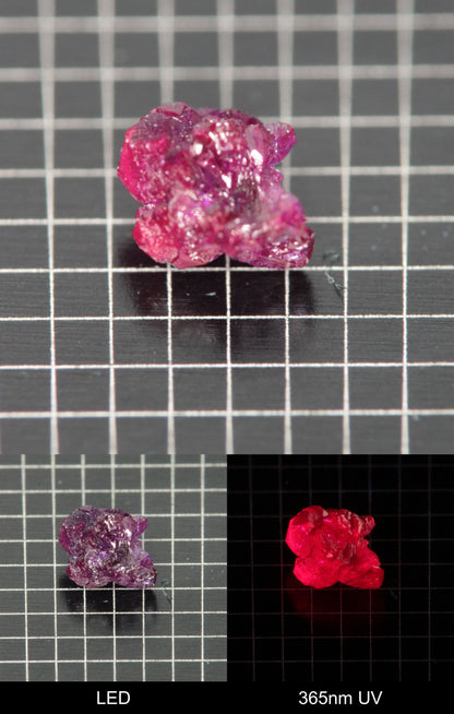 Synthetic Flux Ruby Gemstone Grown by Gems of Science on a black mm grid background showing normal light and UV fluorescence