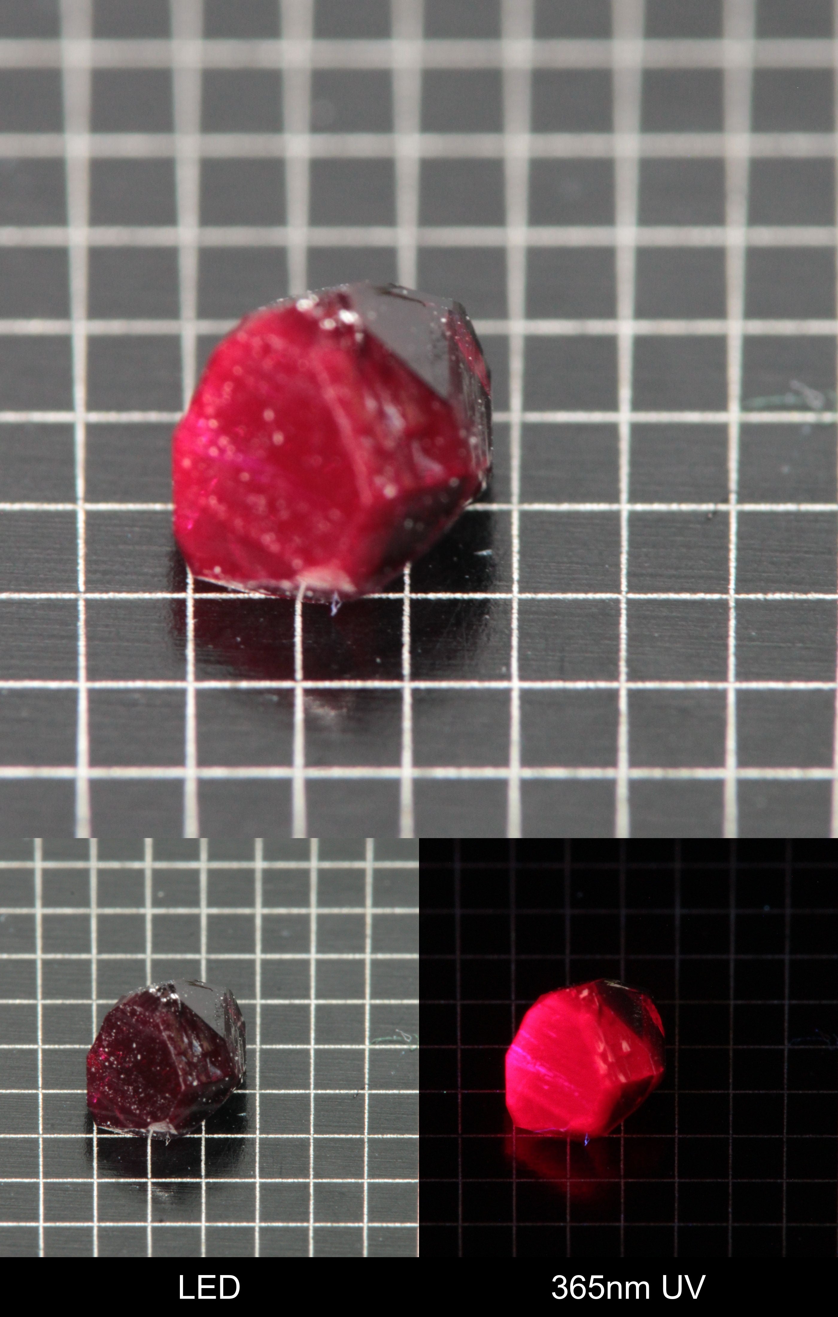 Synthetic Flux Ruby Gemstone Grown by Gems of Science on a black mm grid background showing normal light and UV fluorescence
