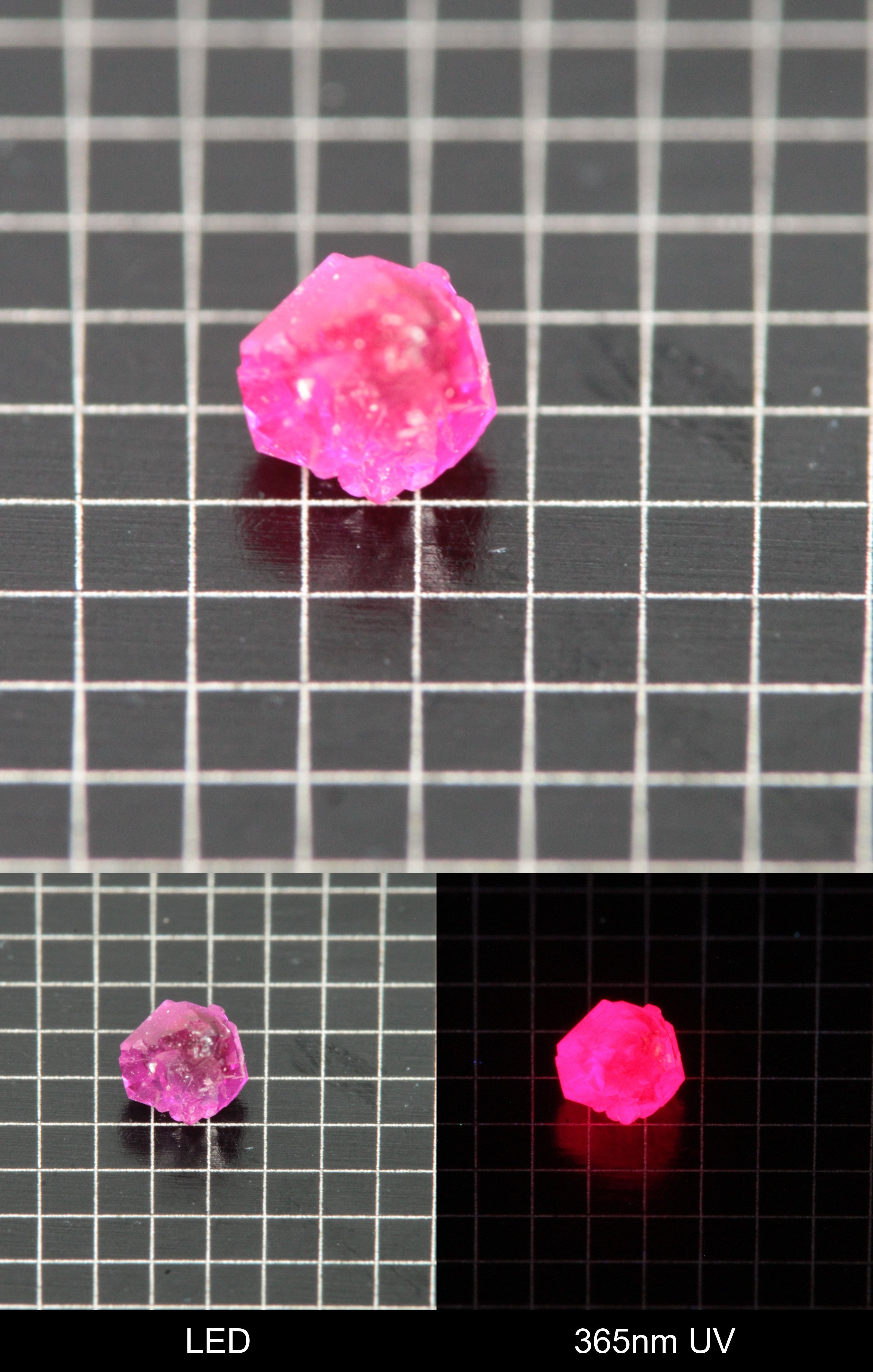 Synthetic Flux Ruby Gemstone Grown by Gems of Science on a black mm grid background showing normal light and UV fluorescence