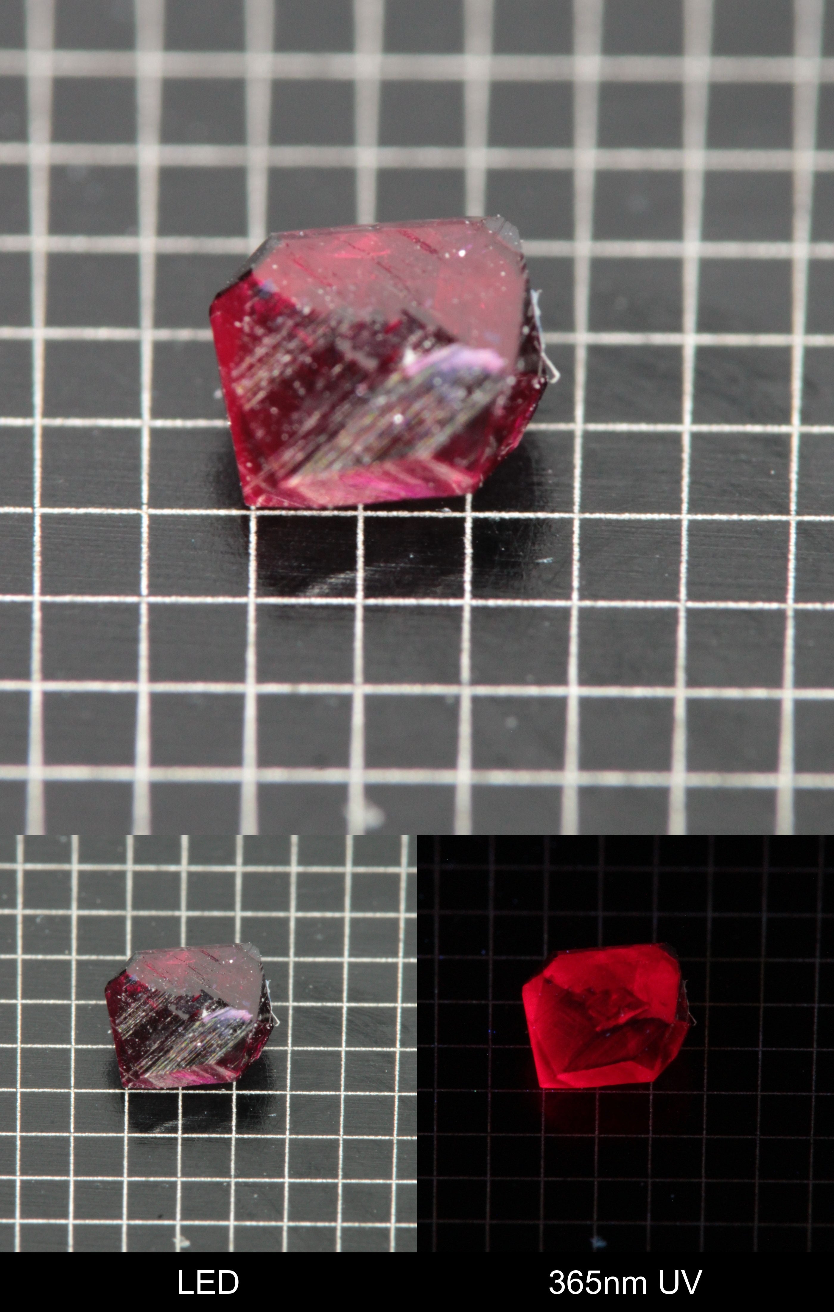 Synthetic Flux Ruby Gemstone Grown by Gems of Science on a black mm grid background showing normal light and UV fluorescence