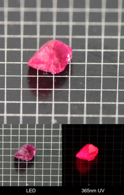 Synthetic Flux Ruby Gemstone Grown by Gems of Science on a black mm grid background showing normal light and UV fluorescence