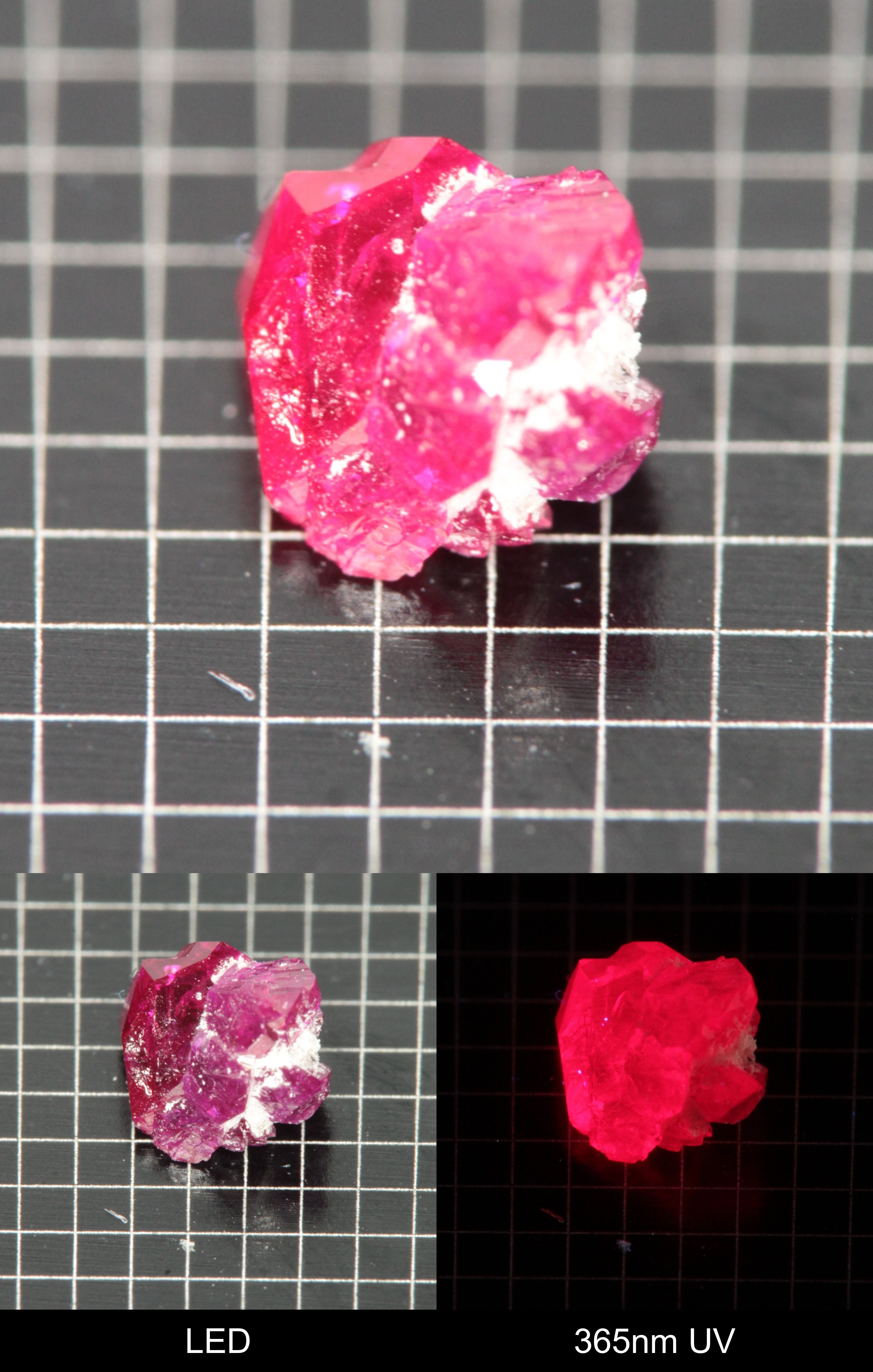 Synthetic Flux Ruby Gemstone Grown by Gems of Science on a black mm grid background showing normal light and UV fluorescence