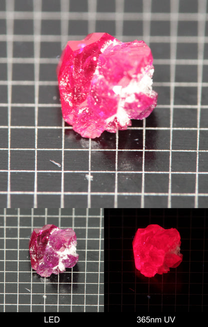 Synthetic Flux Ruby Gemstone Grown by Gems of Science on a black mm grid background showing normal light and UV fluorescence