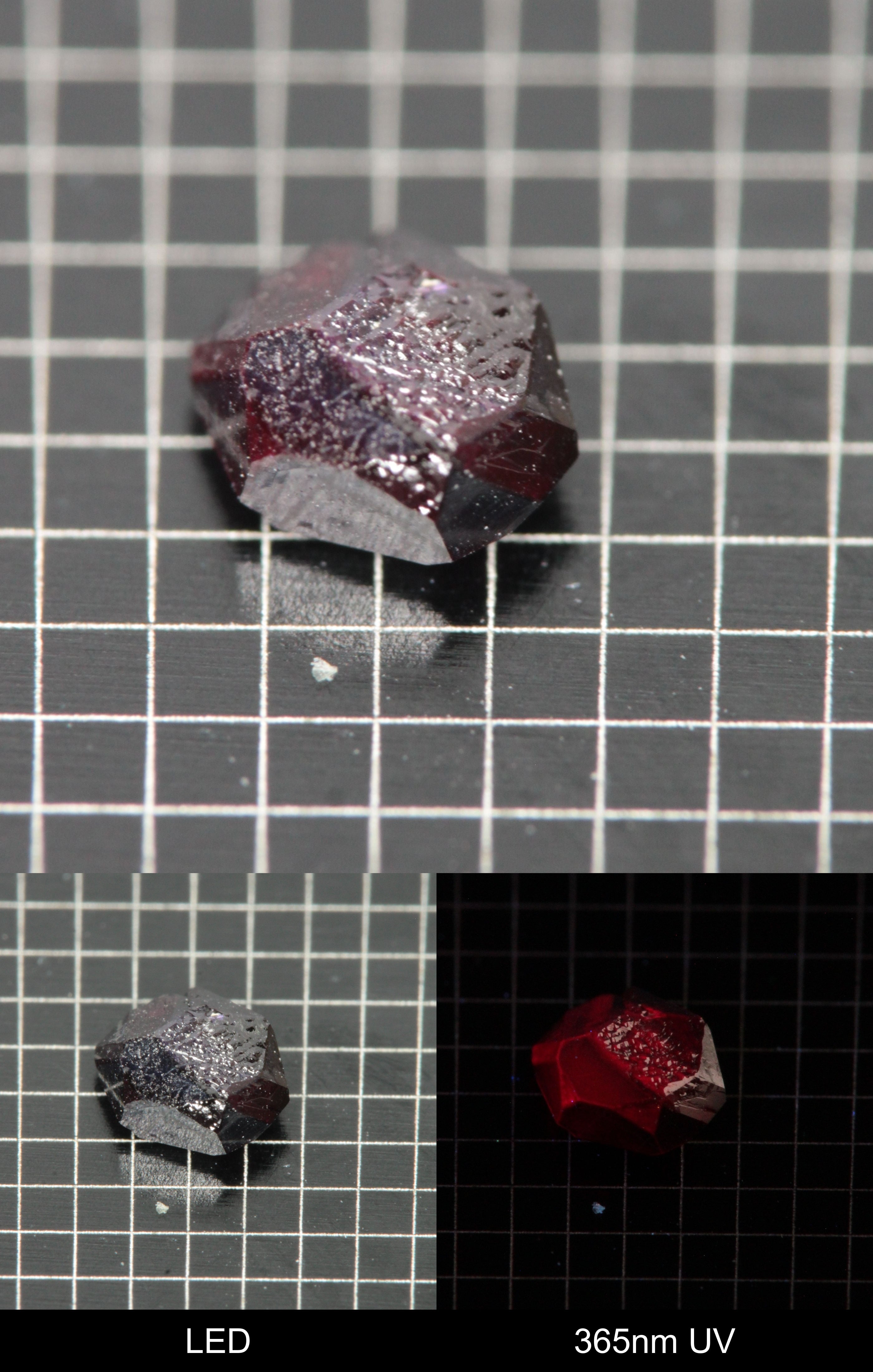 Synthetic Dark Flux Ruby Gemstone Grown by Gems of Science on a black mm grid background showing normal light and UV fluorescence
