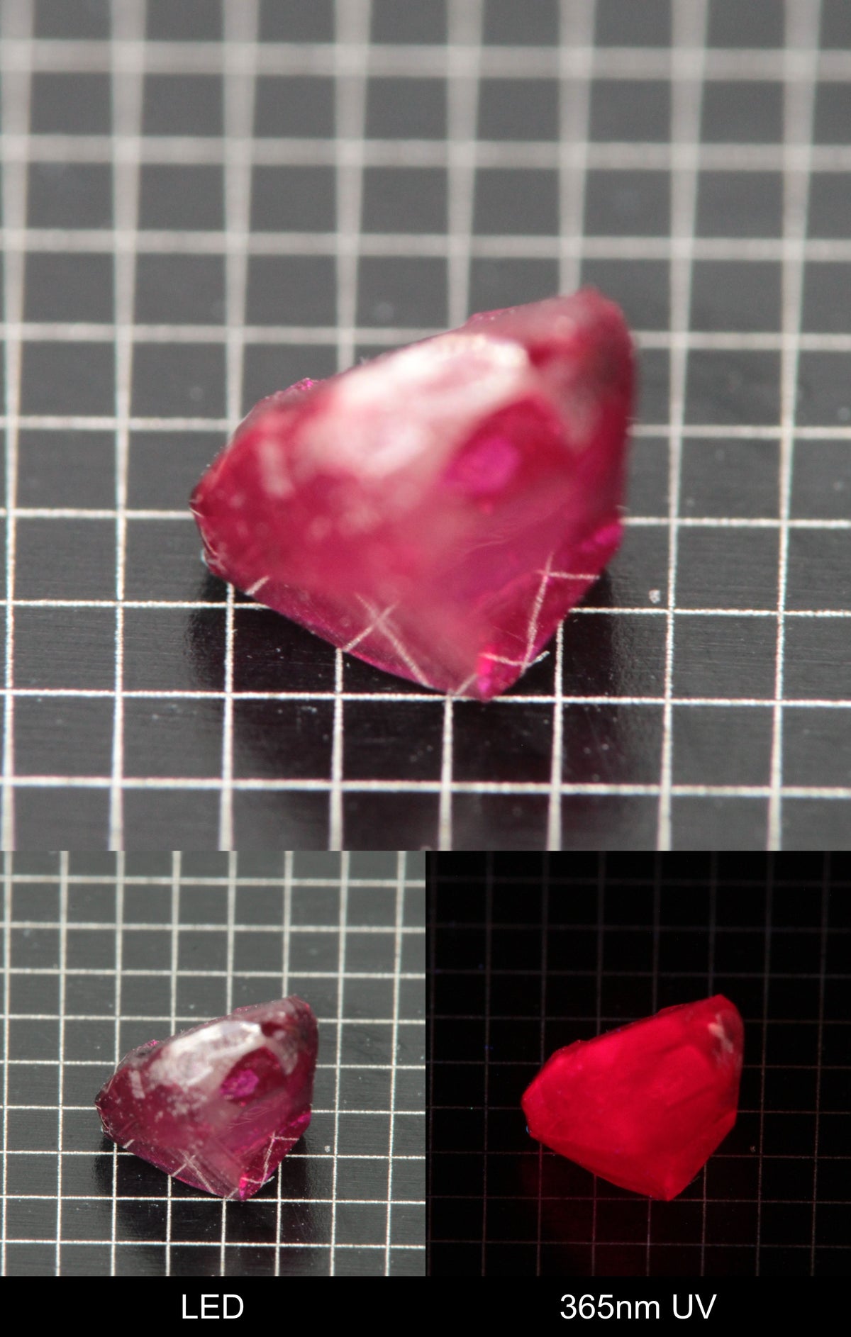 Synthetic Flux Ruby Gemstone Grown by Gems of Science on a black mm grid background showing normal light and UV fluorescence