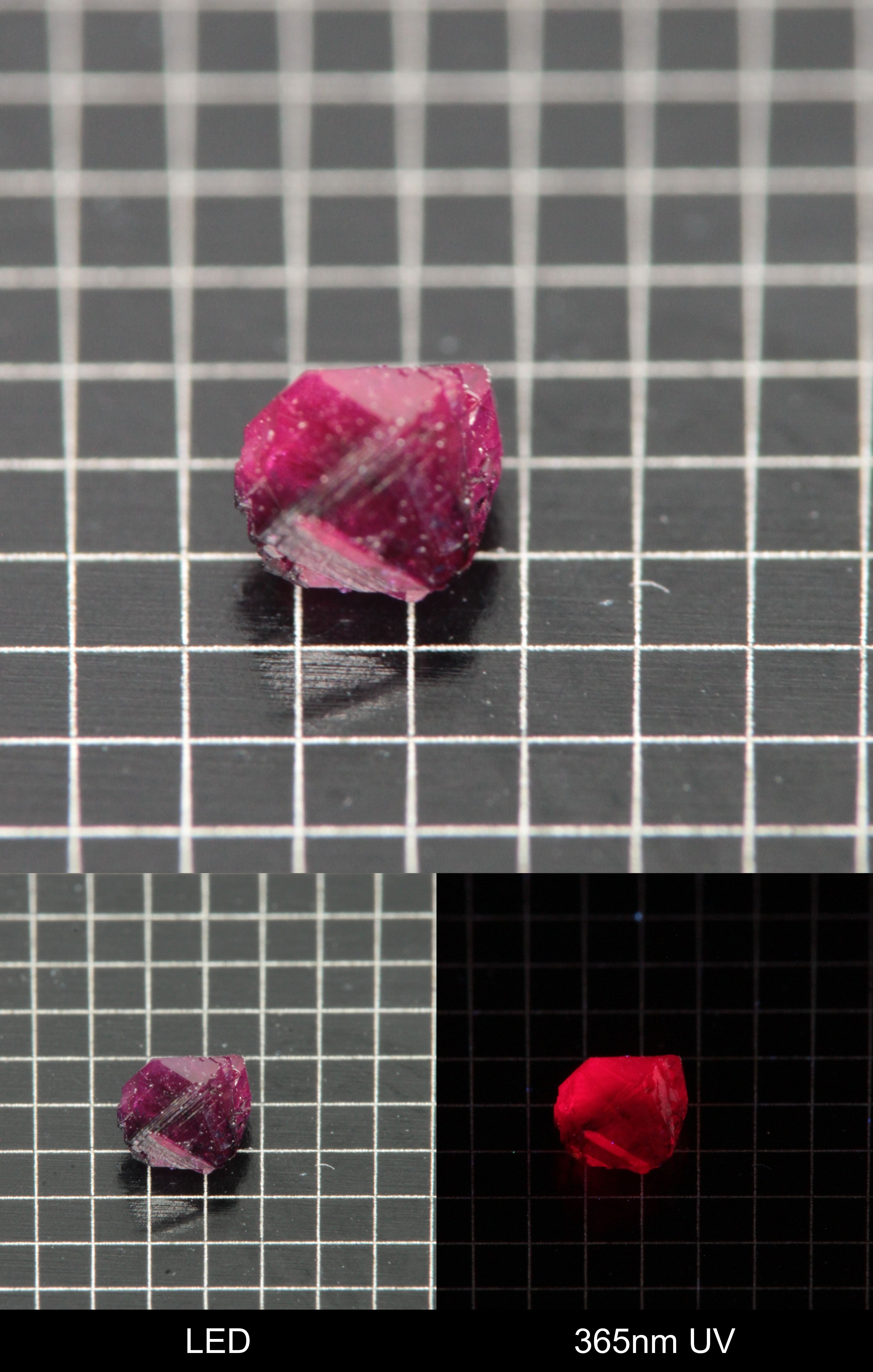 Synthetic Flux Ruby Gemstone Grown by Gems of Science on a black mm grid background showing normal light and UV fluorescence