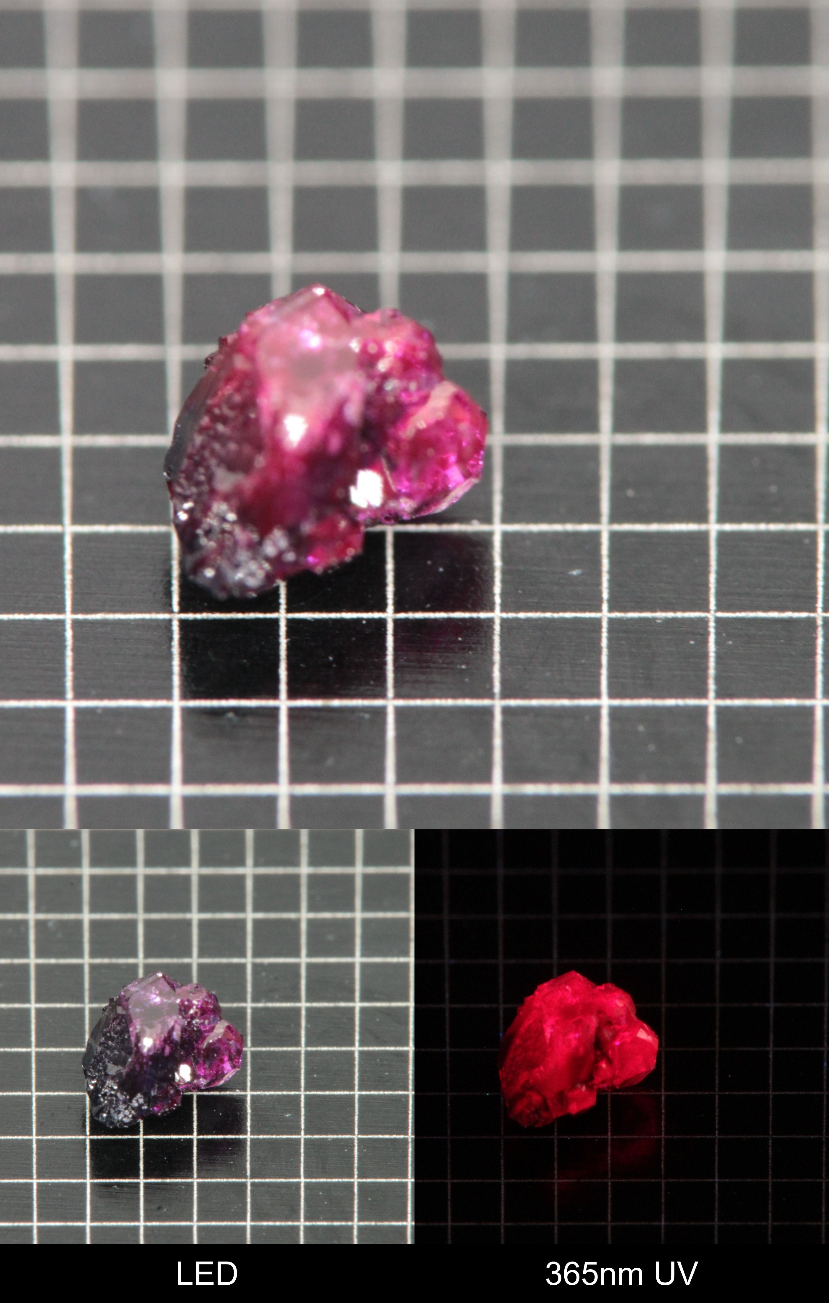 Synthetic Dark Flux Ruby Gemstone Grown by Gems of Science on a black mm grid background showing normal light and UV fluorescence