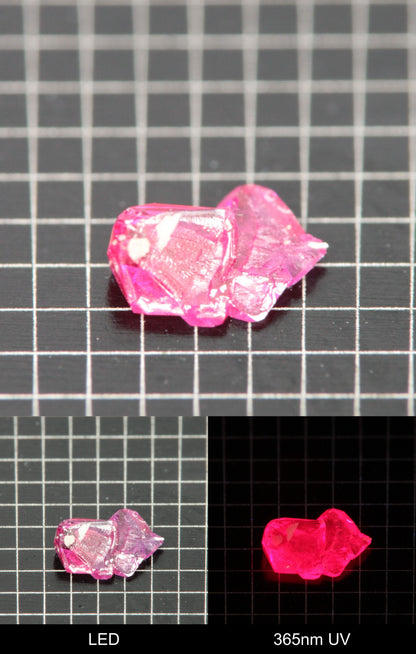 Synthetic Flux Ruby Gemstone Grown by Gems of Science on a black mm grid background showing normal light and UV fluorescence