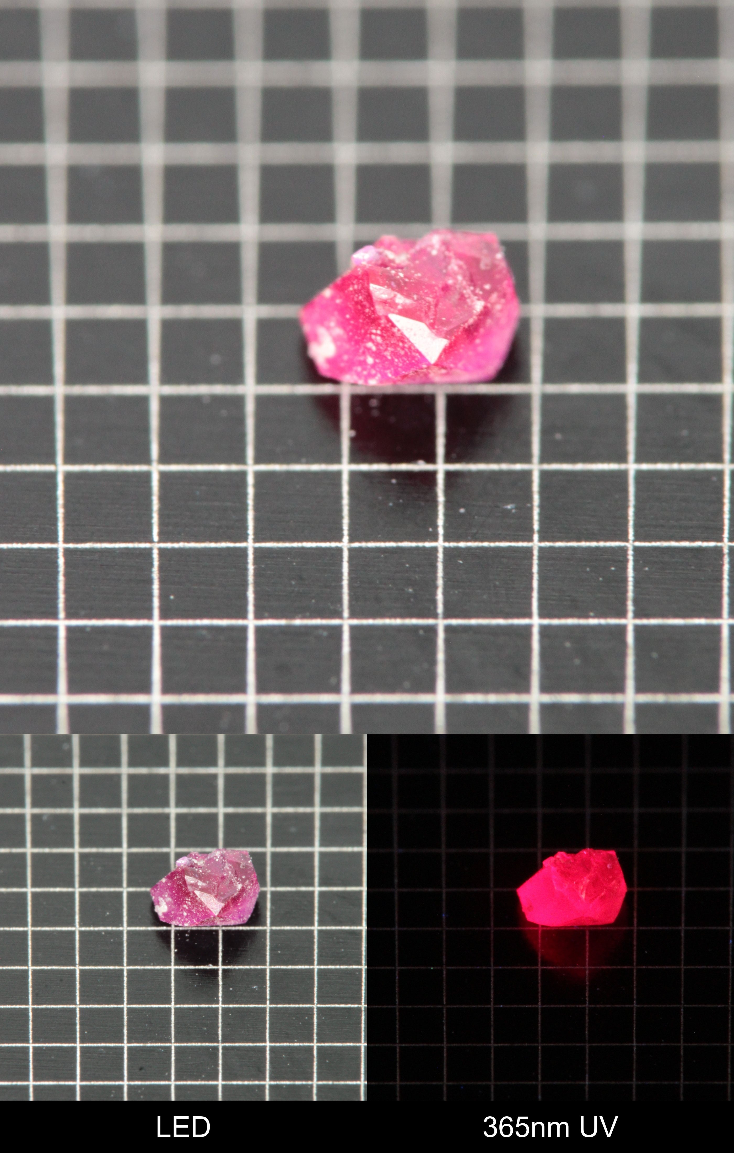 Synthetic Flux Ruby Gemstone Grown by Gems of Science on a black mm grid background showing normal light and UV fluorescence