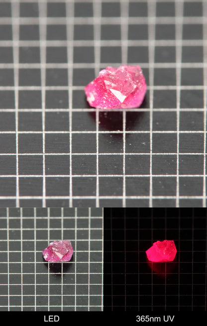 Synthetic Flux Ruby Gemstone Grown by Gems of Science on a black mm grid background showing normal light and UV fluorescence
