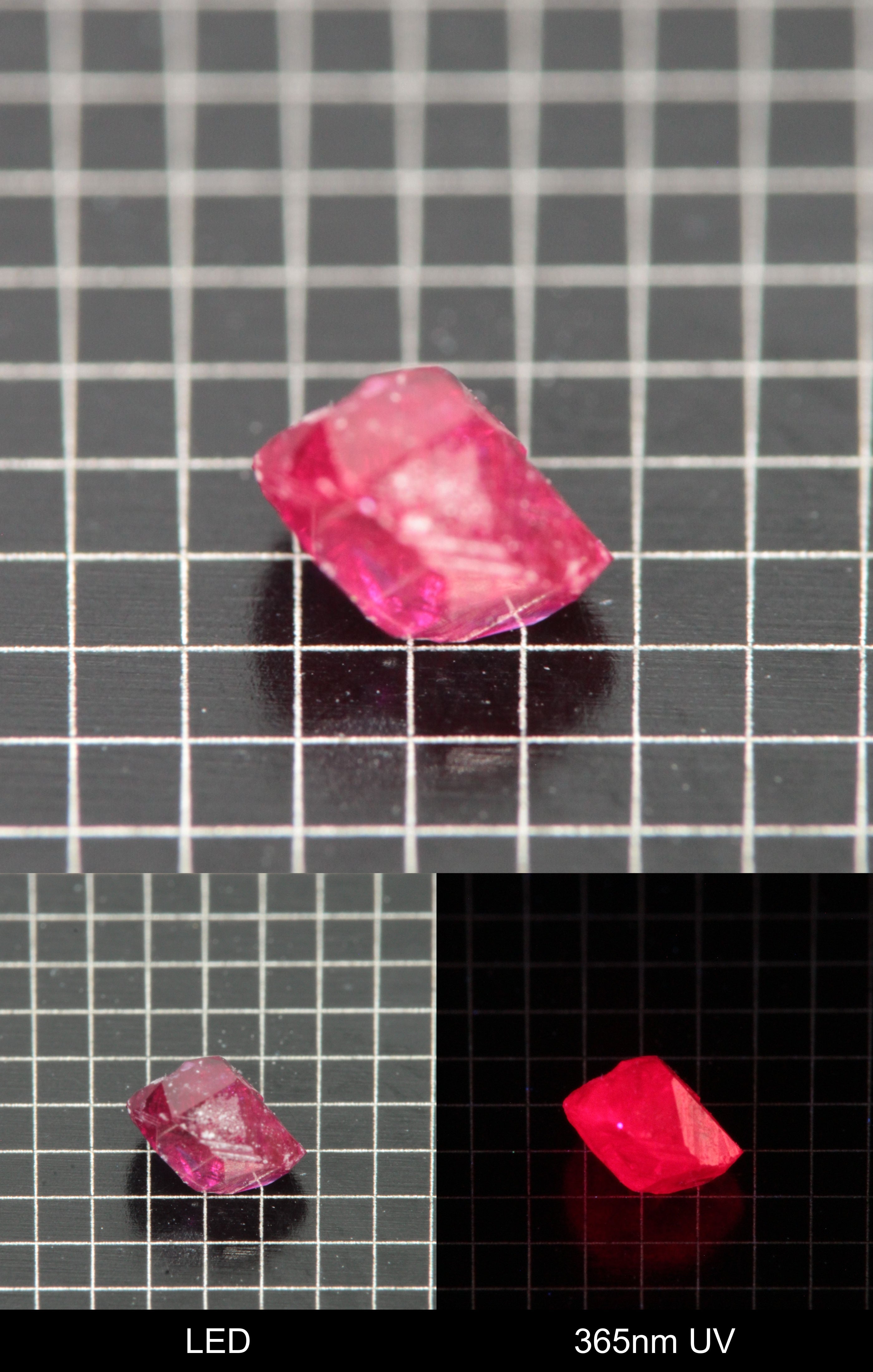Synthetic Flux Ruby Gemstone Grown by Gems of Science on a black mm grid background showing normal light and UV fluorescence