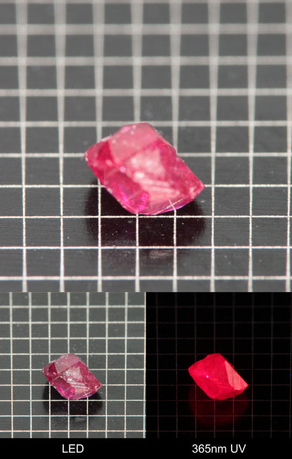 Synthetic Flux Ruby Gemstone Grown by Gems of Science on a black mm grid background showing normal light and UV fluorescence