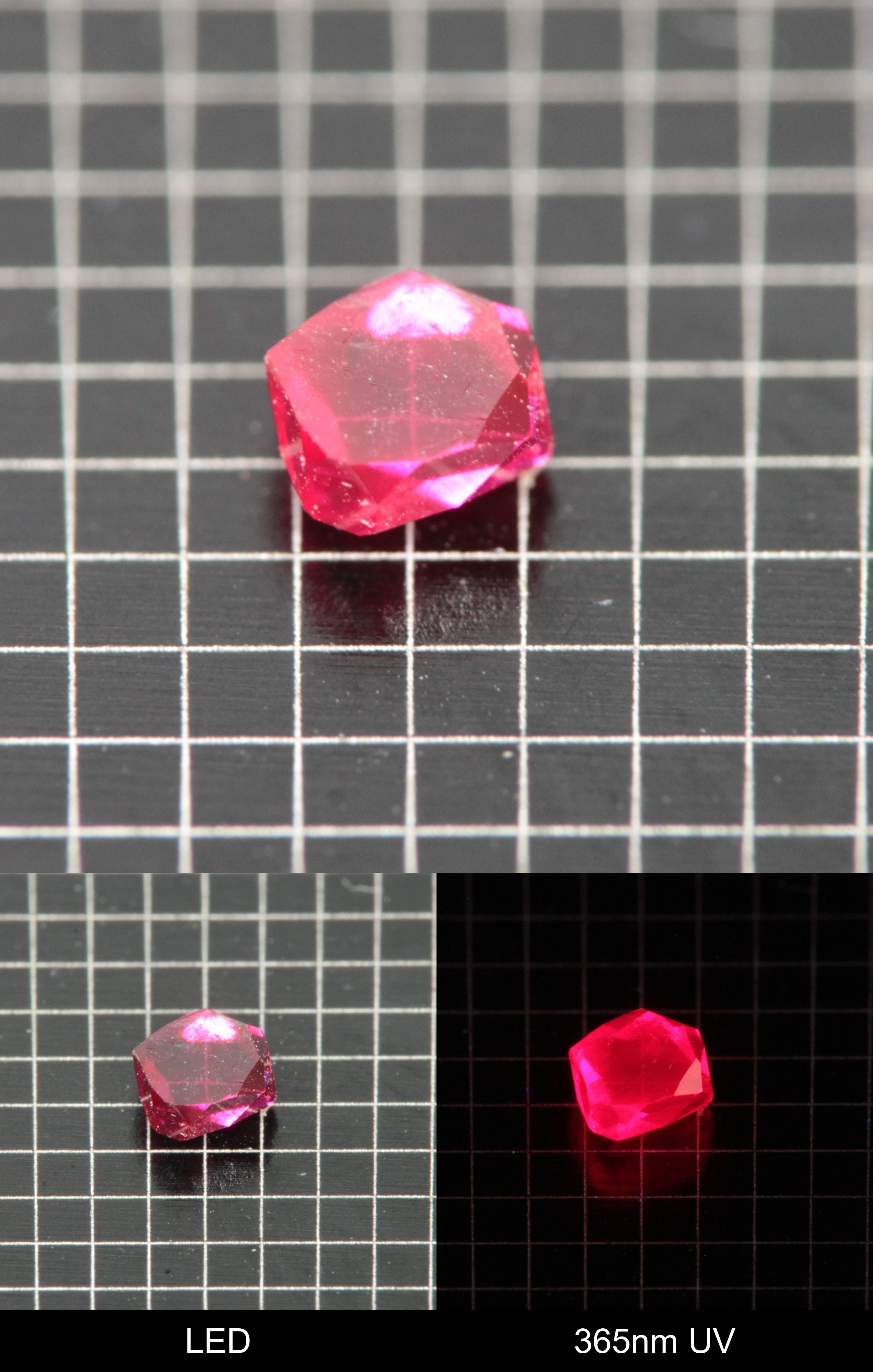 Synthetic Flux Ruby Gemstone Grown by Gems of Science on a black mm grid background showing normal light and UV fluorescence